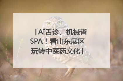 AI舌诊、机械臂SPA！看山东展区玩转中医药文化