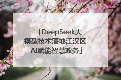 DeepSeek大模型技术落地江汉区 AI赋能智慧政务